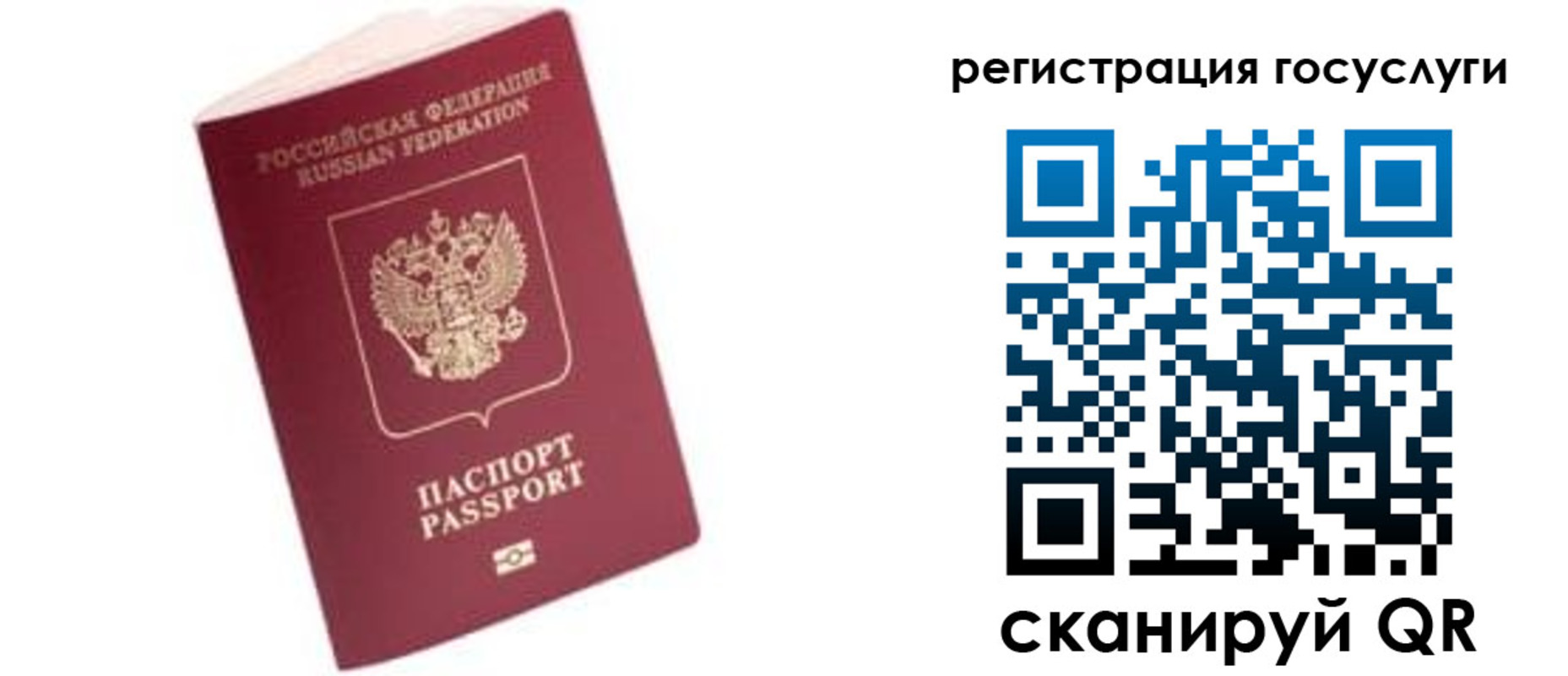 прописка поиск в Воронежской области